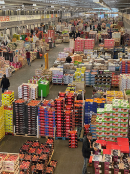 MIN de Rungis - Vue générale